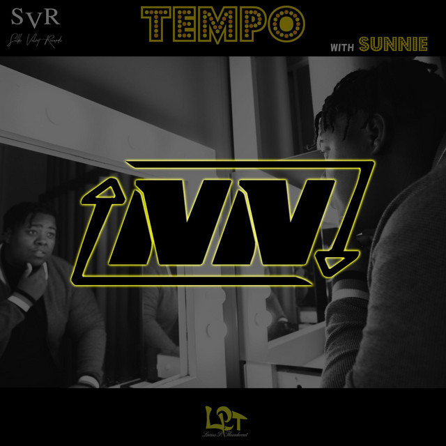 Tempo - Slowed Down cover art