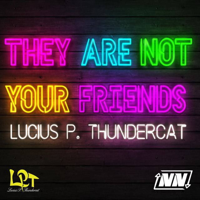 They are not your Friends cover art